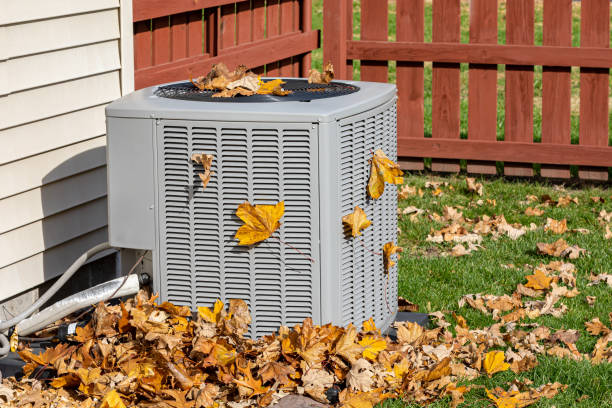 Best HVAC repair near me  in Machias, WA